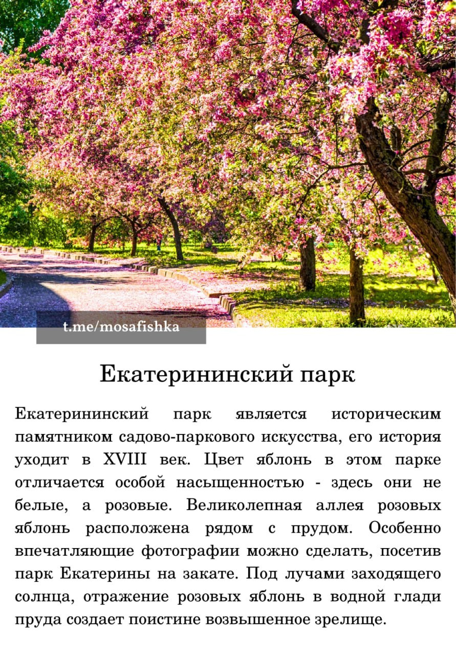 Локации для фотосессии в Москве