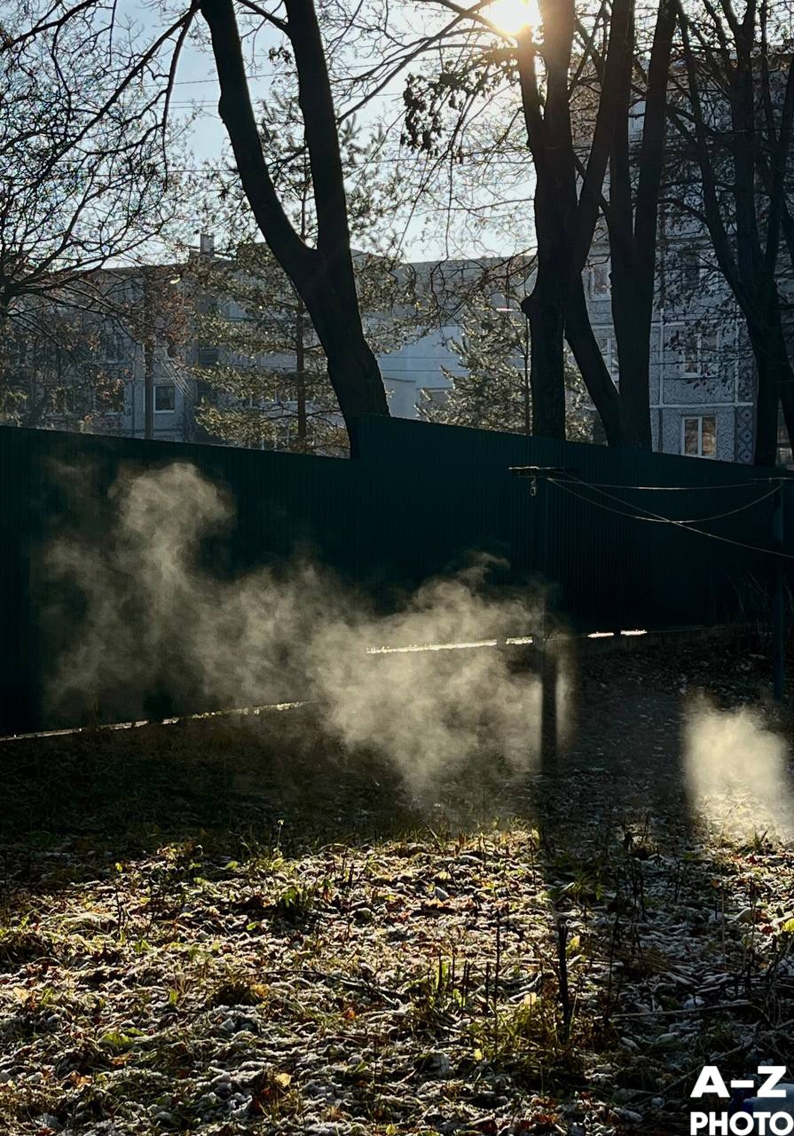 Фото недели 18.11.2025. Женский семейный фотограф Тула Москва Захарова Анна