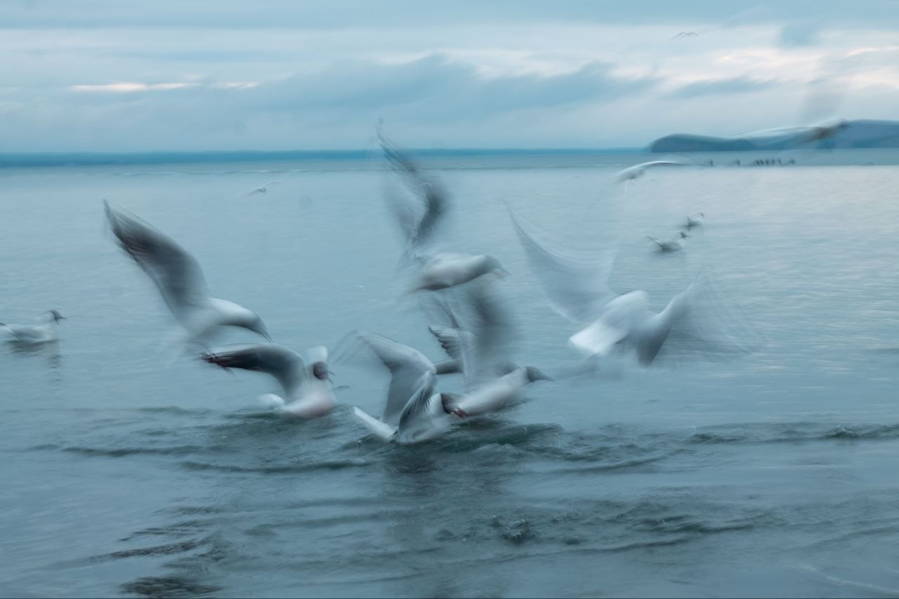 Марафон «Другая сторона света». Женский семейный фотограф Тула Москва Захарова Анна