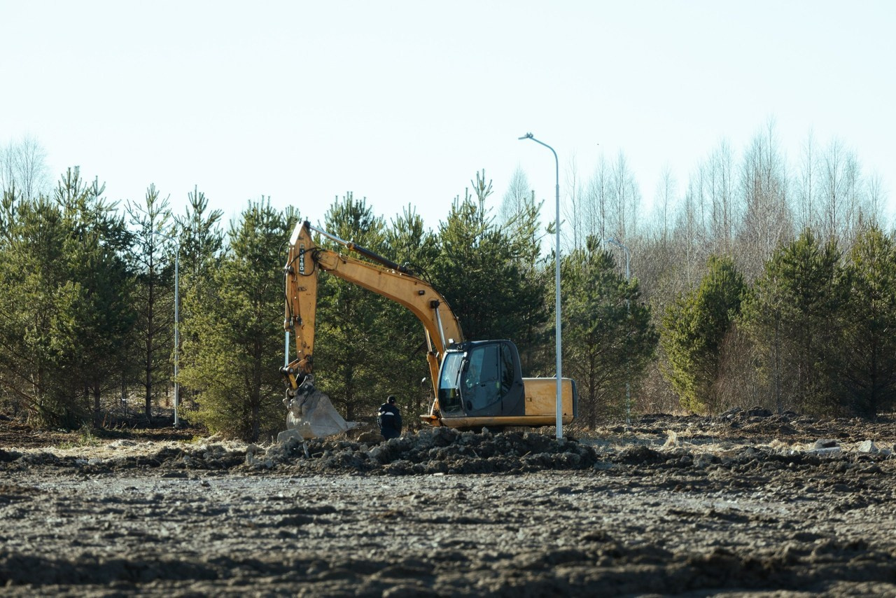 Отзывы. Фотограф Санкт-Петербург Всеволожск Мария Наскидашвили