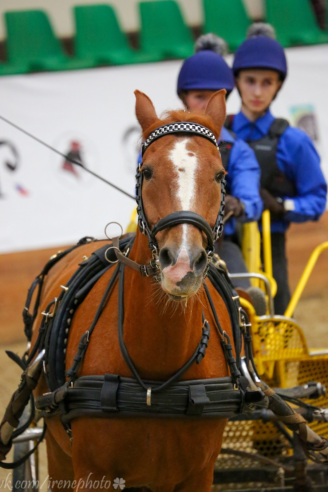 Конная Россия 2023. Irenephoto.ru