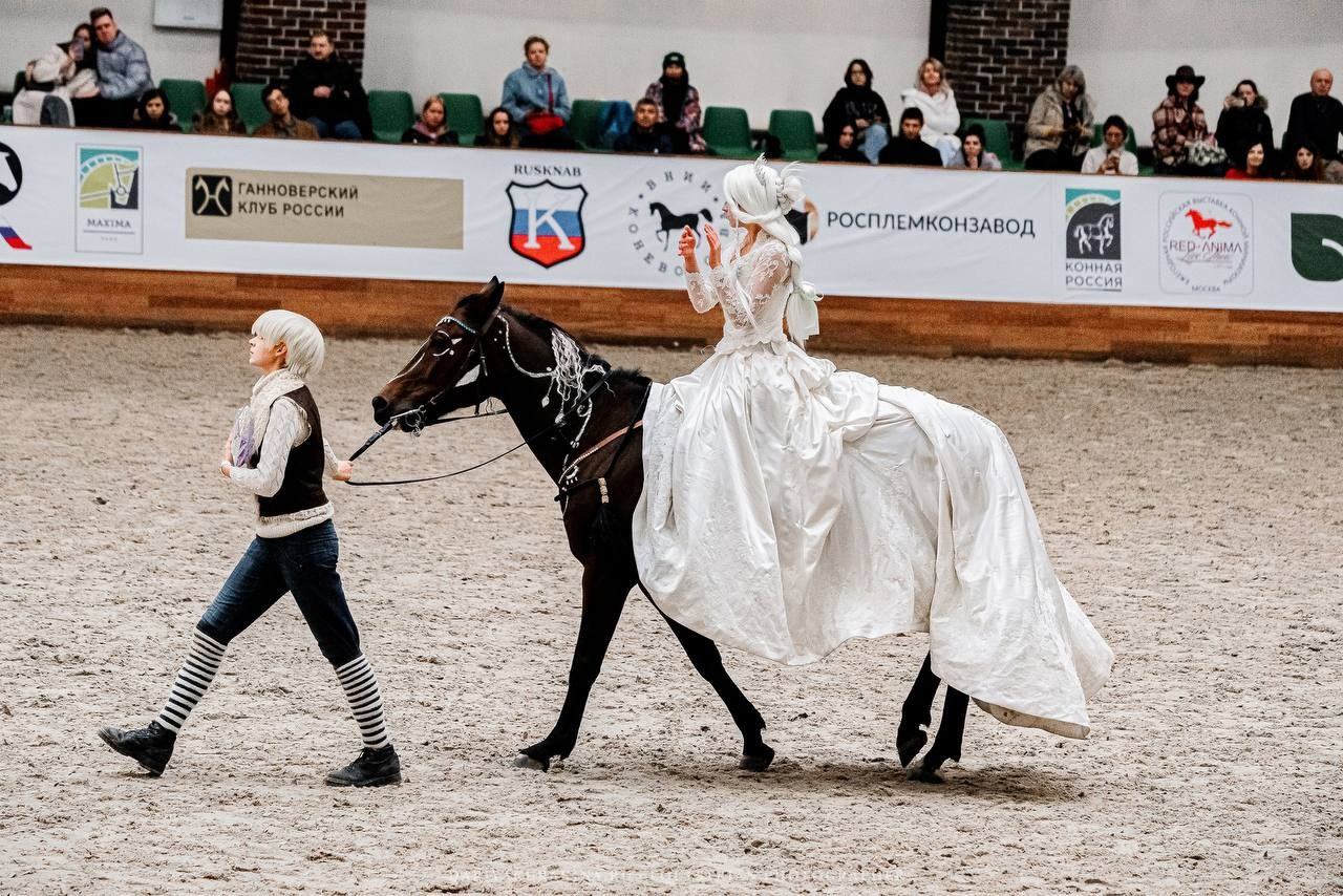 КОННАЯ РОССИЯ 2024. Конный фотограф Куракина Дарья • Фотосессии с лошадьми