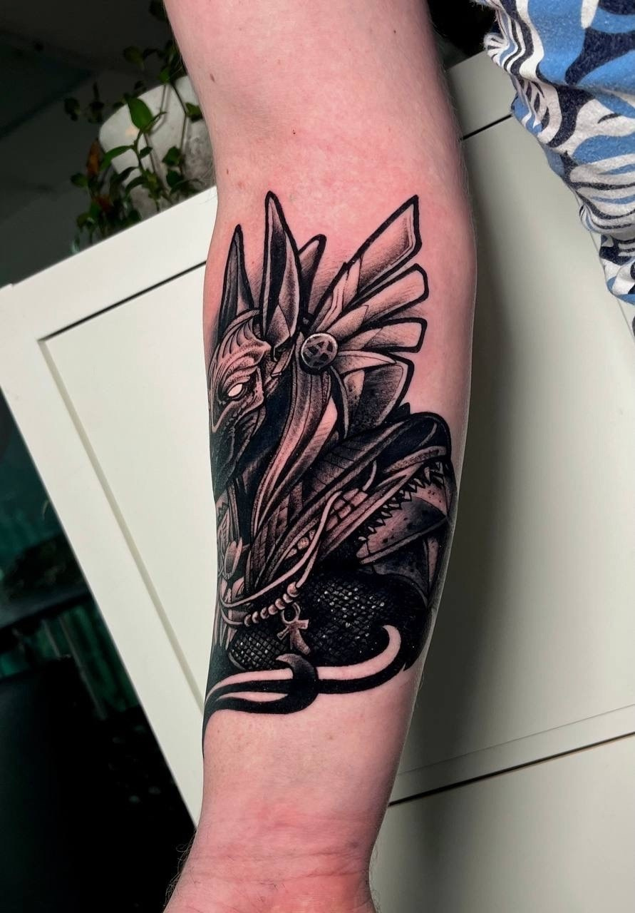 Работы Тимофея