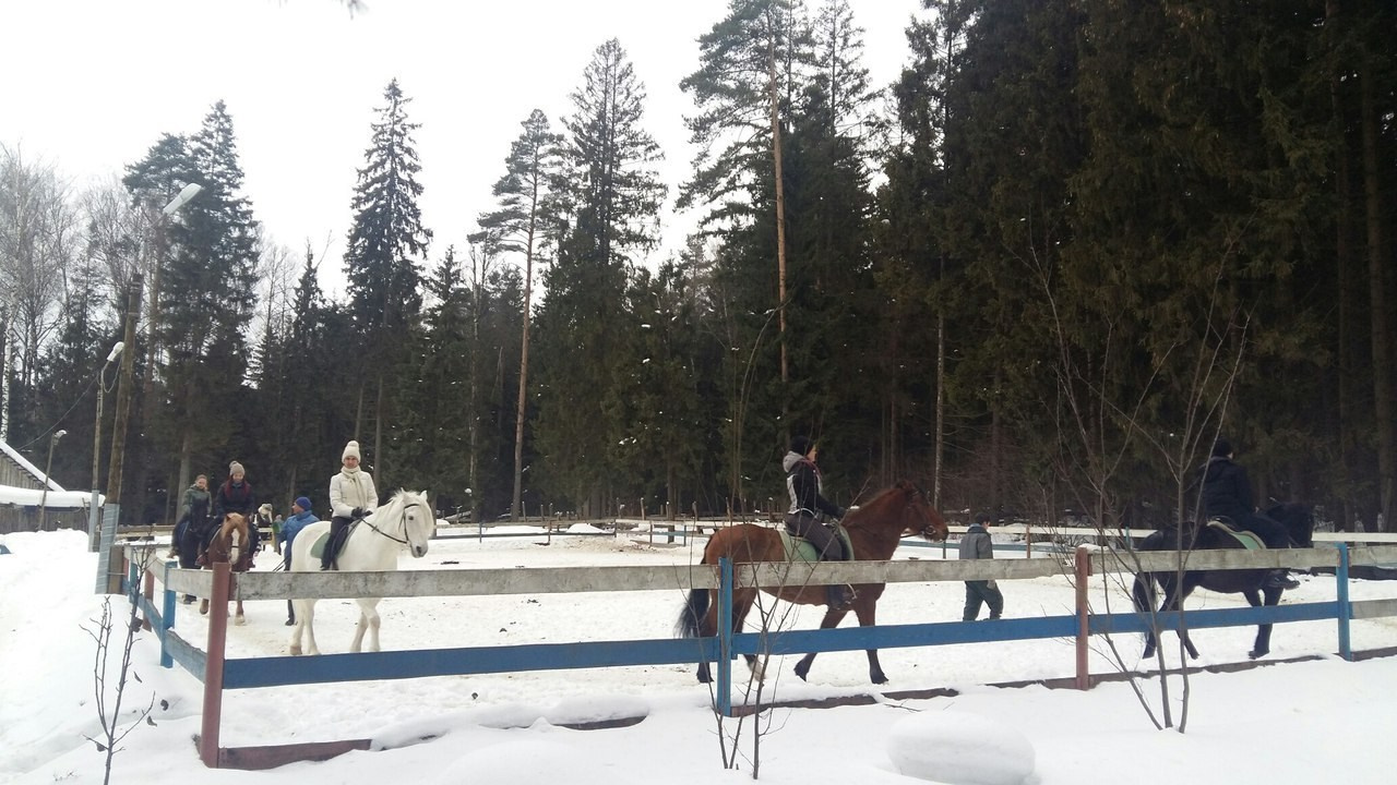 Активные выходные |18-19.02.2017. Галерея Фантим