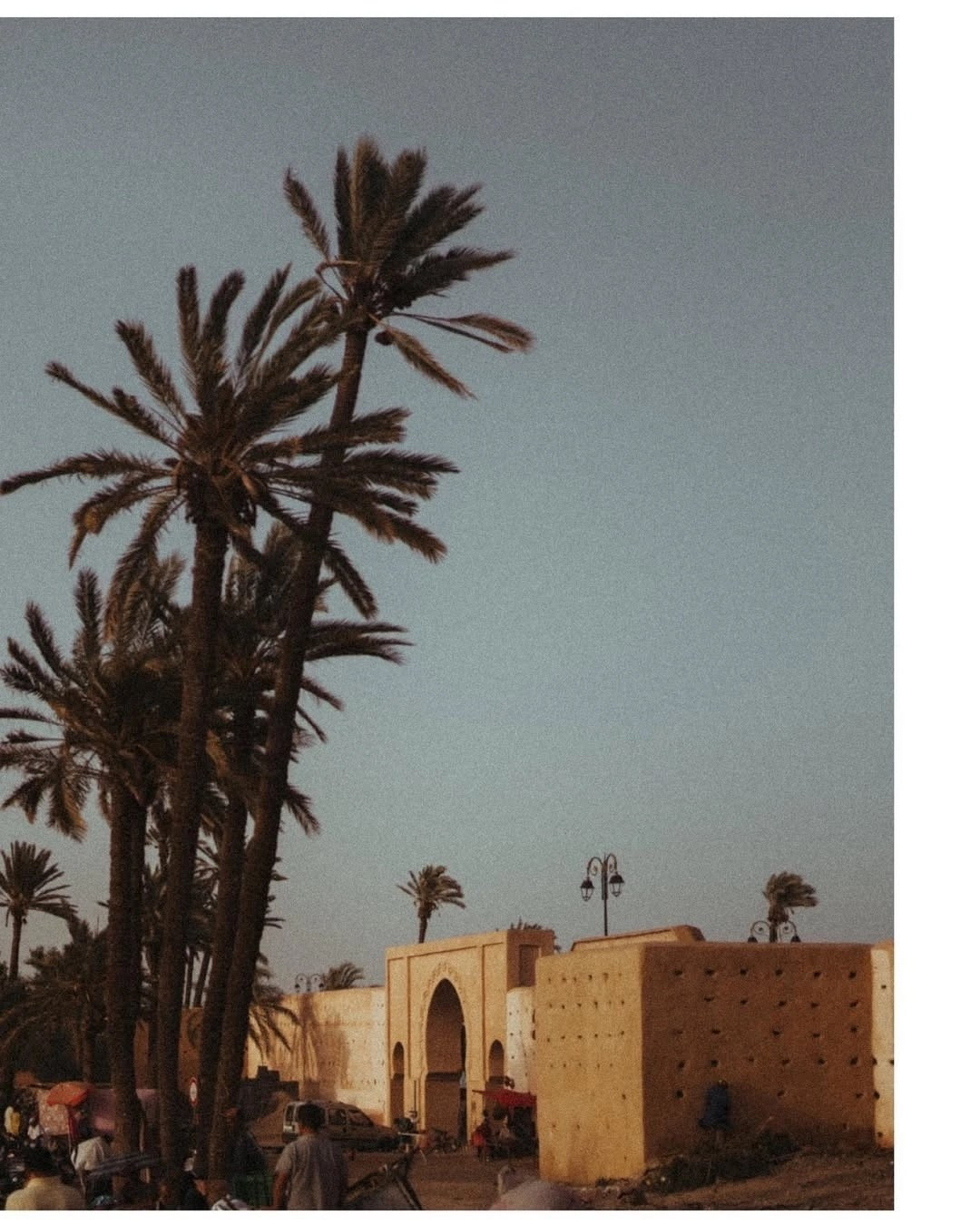 Marrakesh, Majorelle & Yves Saint Laurent | The Geography of Inspiration