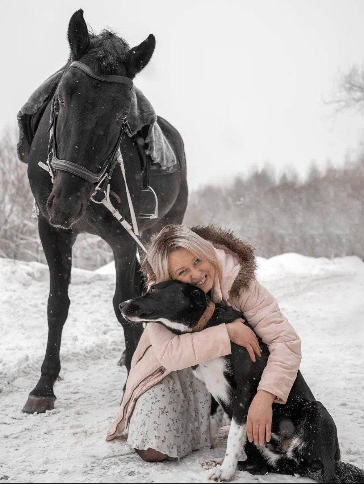 Лошадки зима. Фотограф Зинаида Евдокимова