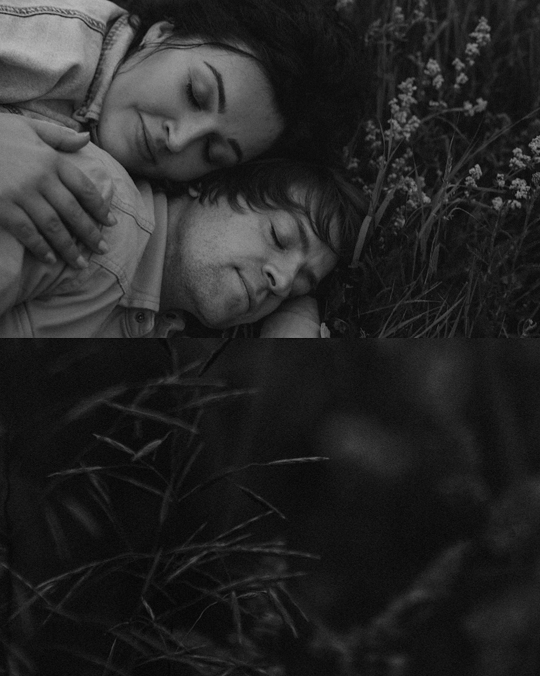 Кристина, Александр, Каролина, Владлен и Космос. Фотограф анималист в Москве и Санкт-Петербурге Свиридова Анна