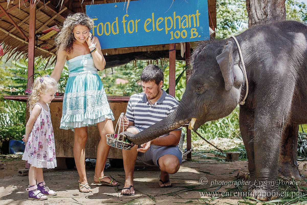 семейная фотосессия со слоном Пхукет фотограф пляж Ката Карон Найхарн Патонг Найхарн Сурин море счастье радость идея место образ пример фото позы для фотосессии Phuket Naiharn Kata Karon Patong Surin заказать фотосъёмку цена детская фотосессия