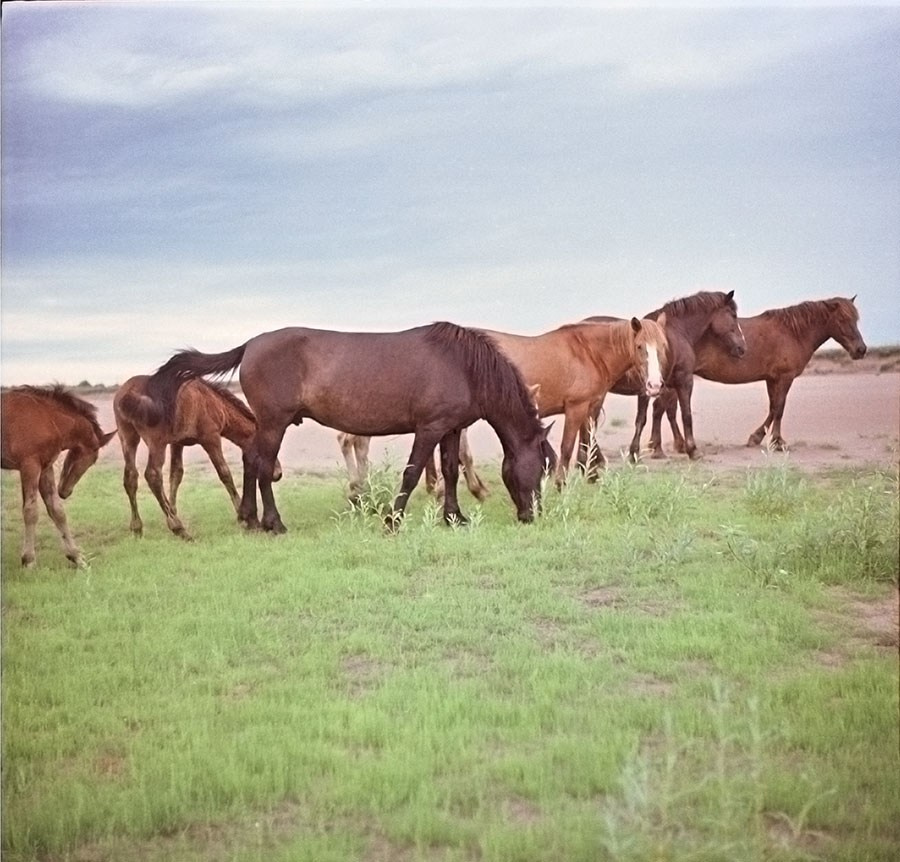 Было лето. Часть 2. ФОТОГРАФ ЛИЛИЯ БИЧУРИНА