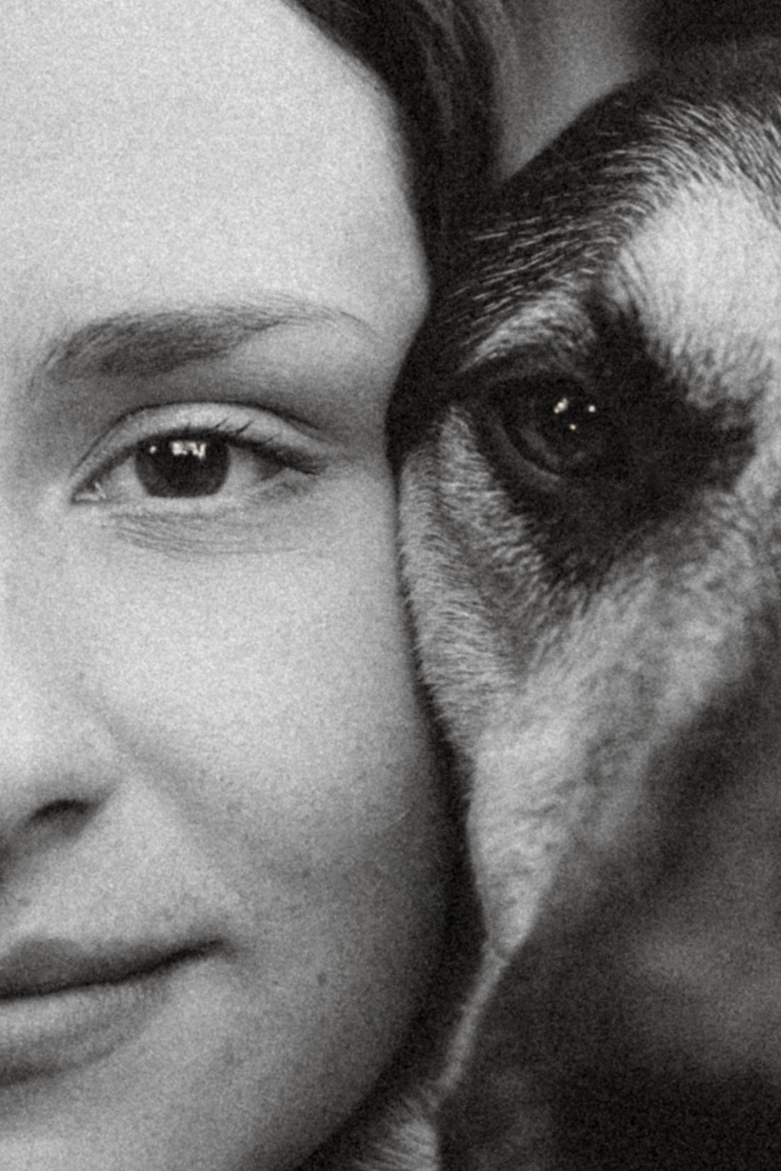 Анна Честер Женя. Фотограф-анималист Еремина Вероника в Москве