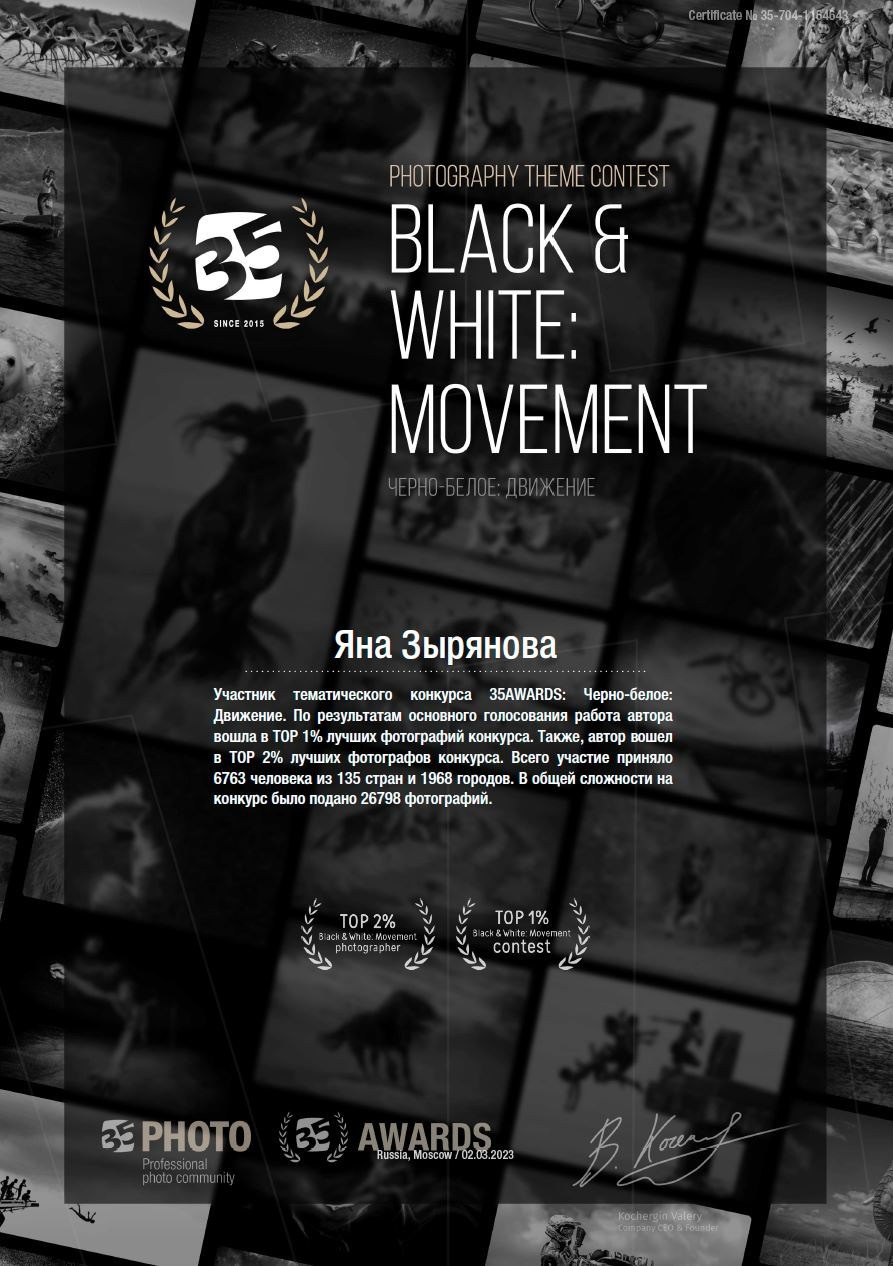 Дипломы. Фотограф Зырянова Яна, Снежинск, Екатеринбург, Челябинск