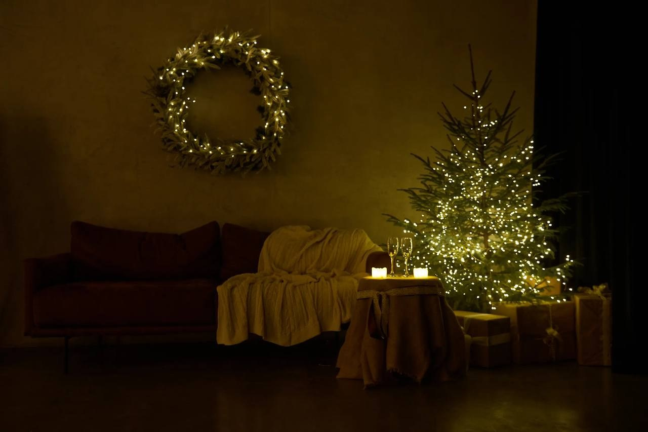 Новогодняя фотосессия в Туле. Портретный, семейный, свадебный фотограф. Бизнес, контент съёмка. Тула