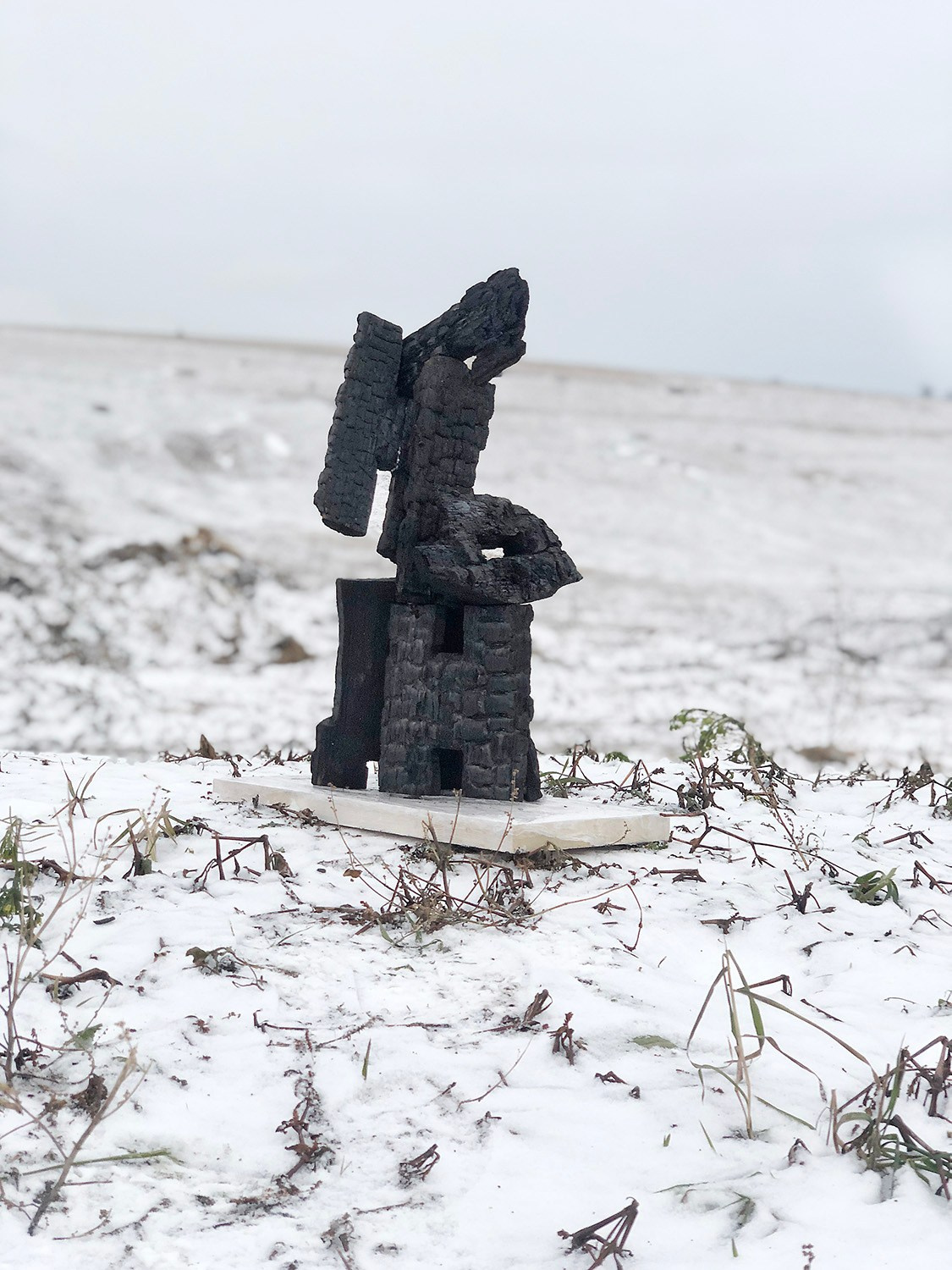 Художник  Елена Алексеева (Alpha_Vita). СОАВТОРЫ