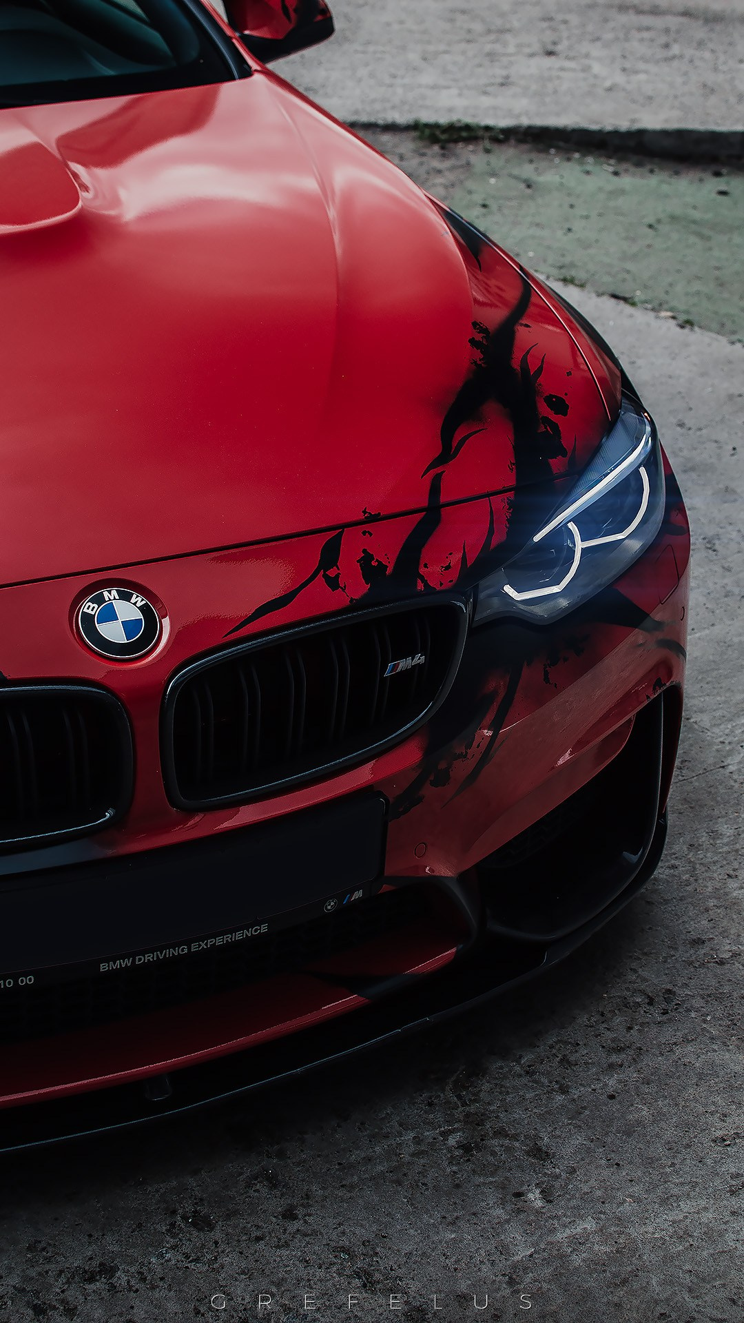 Random Frames — 2021. Grefelus