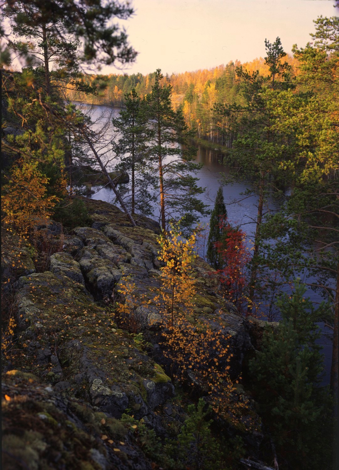Русский север. ВАДИМ ГИППЕНРЕЙТЕР — ВЕЛИКИЙ ФОТОГРАФ ЗЕМЛИ РУССКОЙ