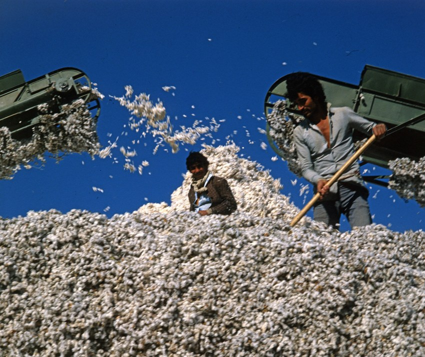 Люди, базары. ВАДИМ ГИППЕНРЕЙТЕР — ВЕЛИКИЙ ФОТОГРАФ ЗЕМЛИ РУССКОЙ