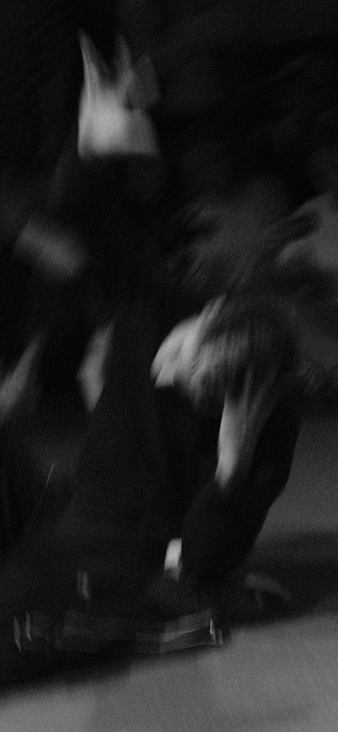 NBD 2023. LIYALEE PHOTO