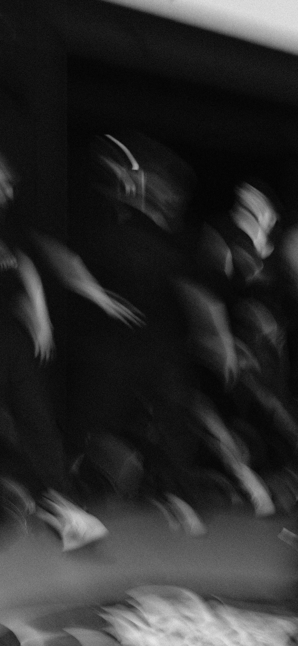 NBD 2023. LIYALEE PHOTO