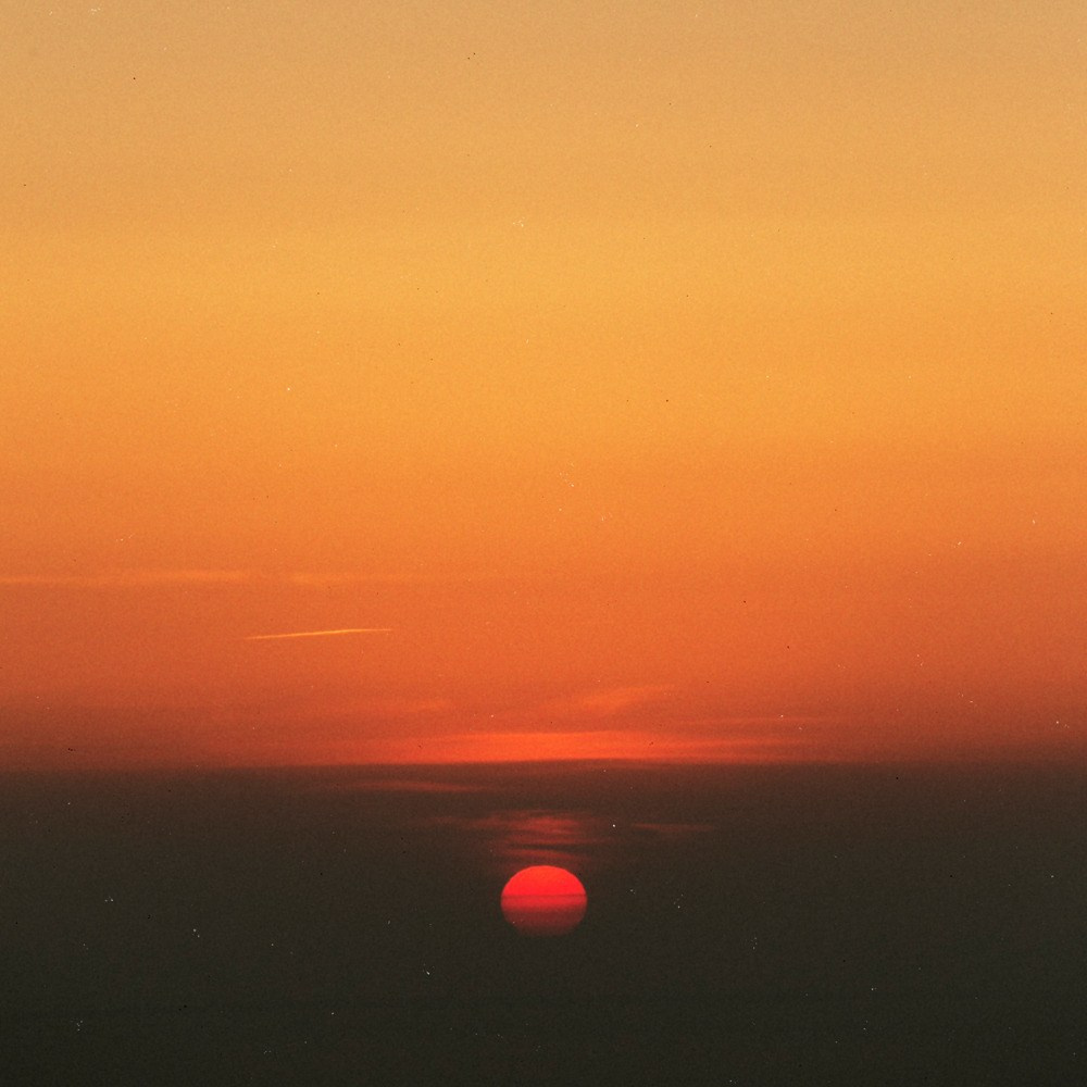 Random photo roulette. Bivol images