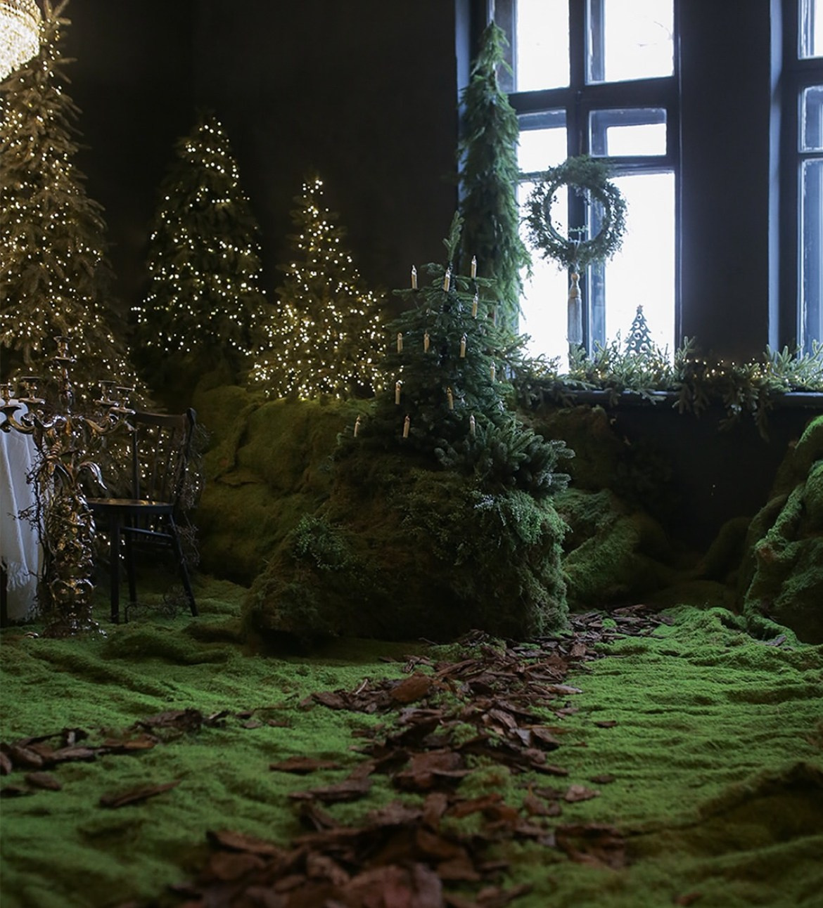 Forest. Фотограф в Алматы