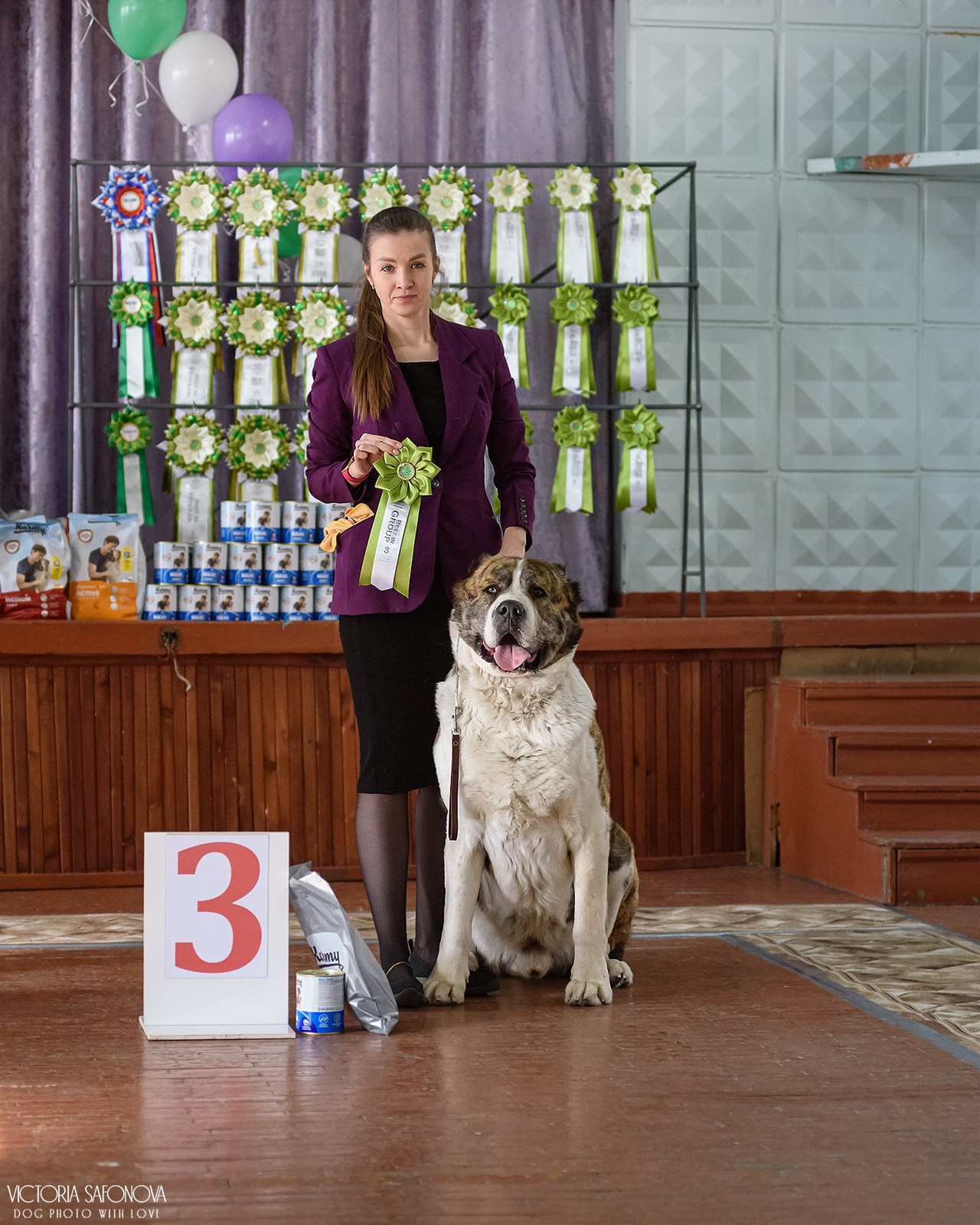 1–2 февраля 2025. Благовещенск. Фотограф анималист Благовещенск. Сафонова Виктория