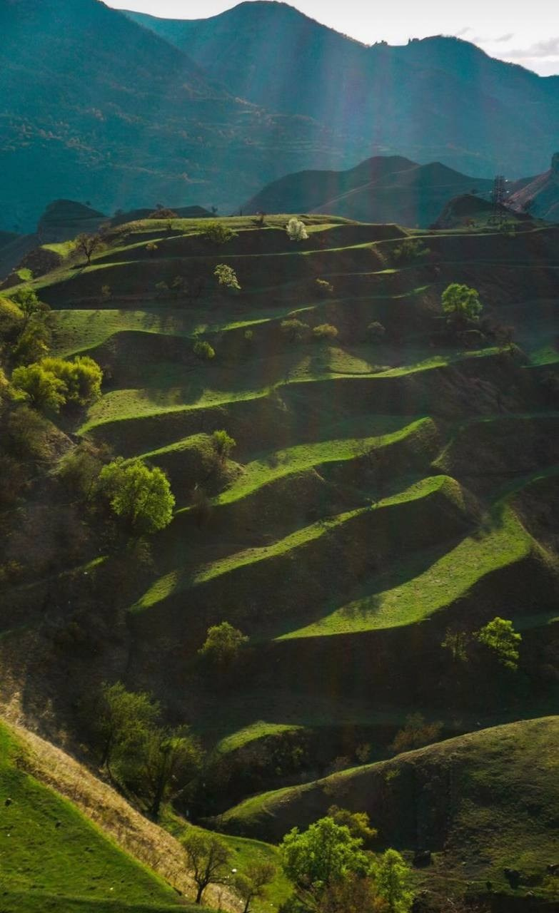 Дагестан с детьми (фототур)