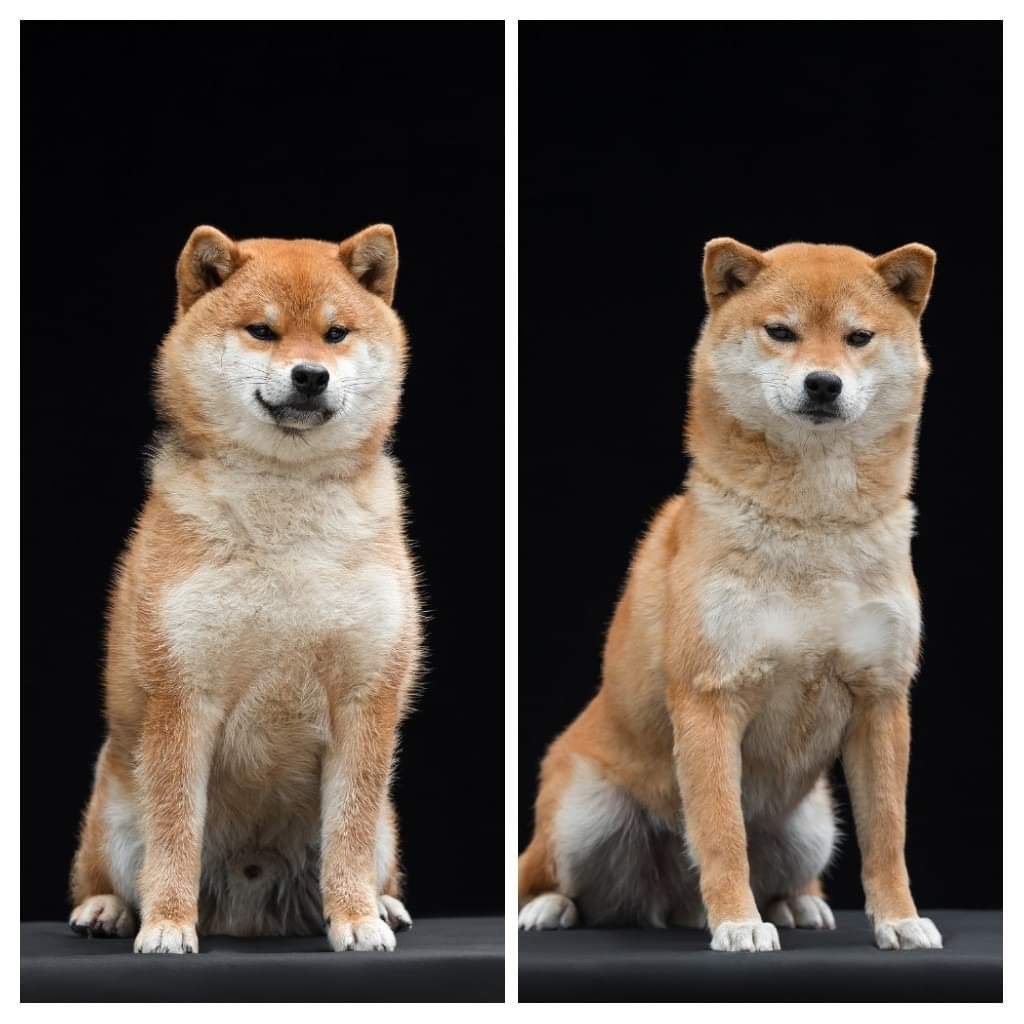 Родители Ганжи