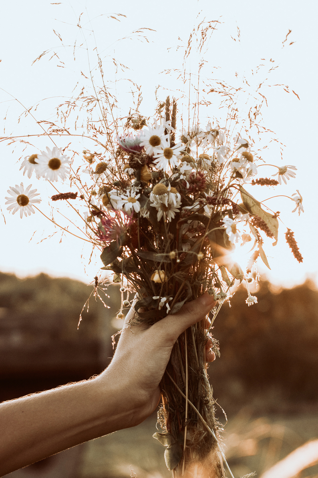 Летняя фотосессия семьи на природе в деревне