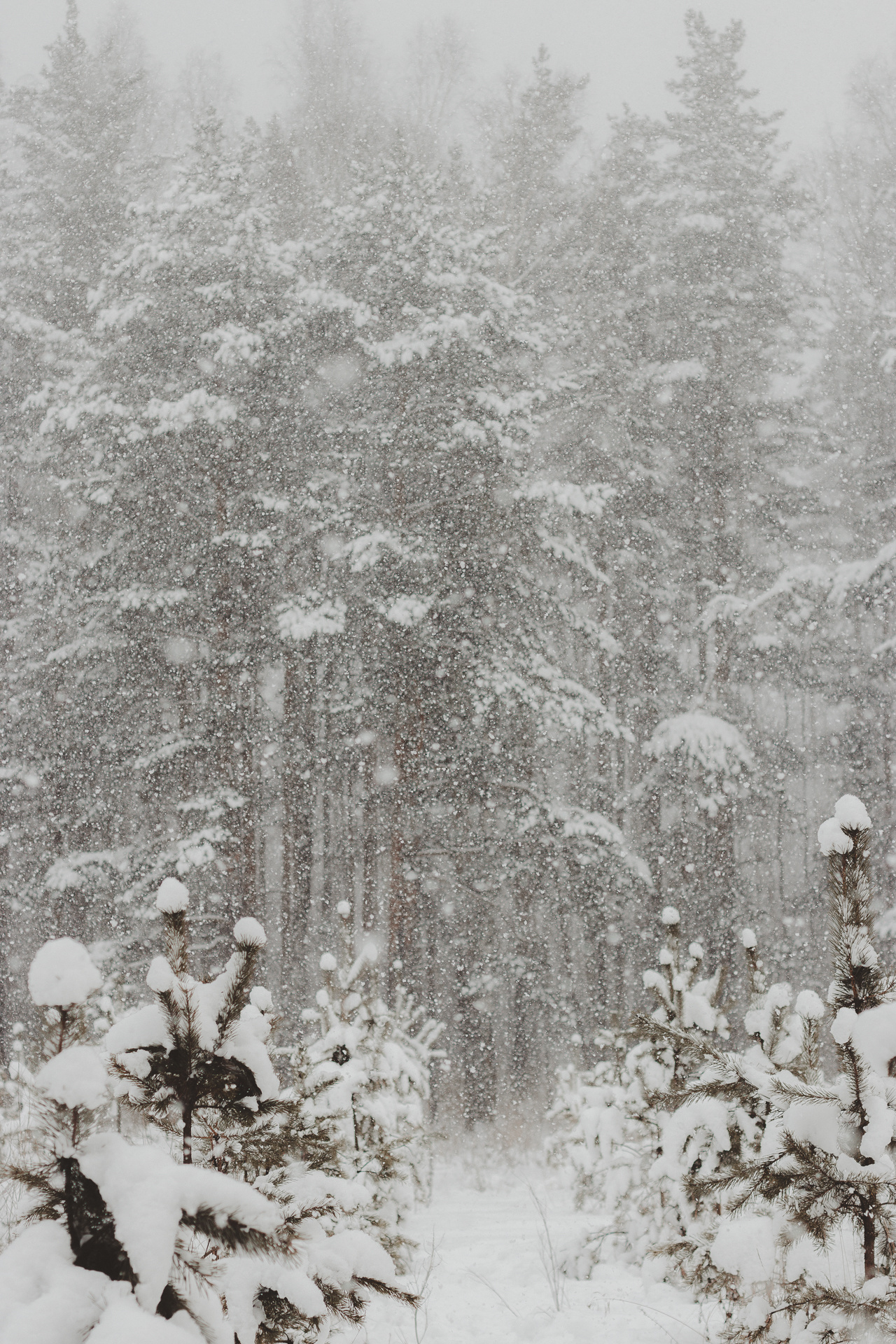 Валерий и Марго