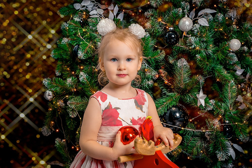 Новогодняя фотосессия в студии