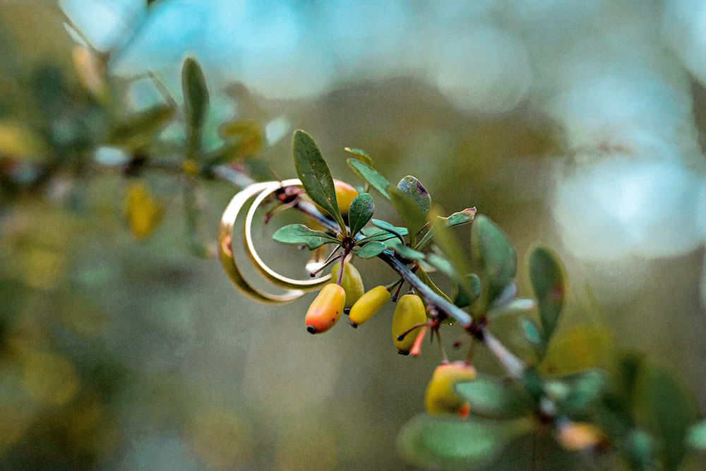 Никах 2015-2019