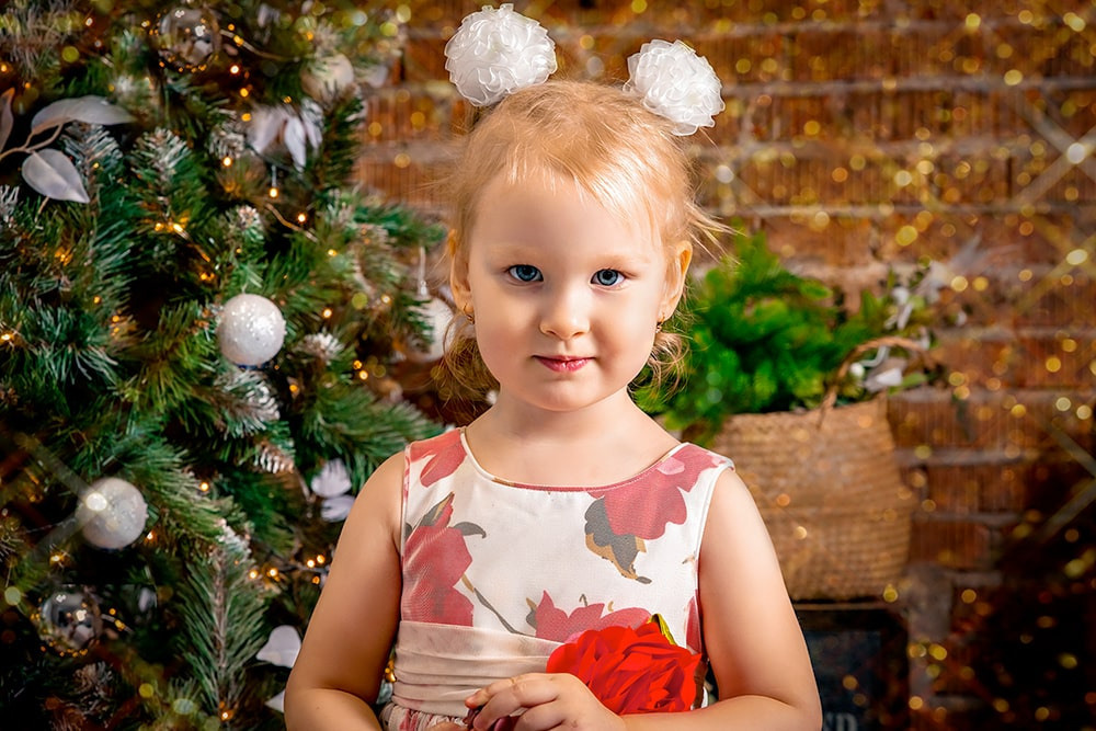 Новогодняя фотосессия в студии