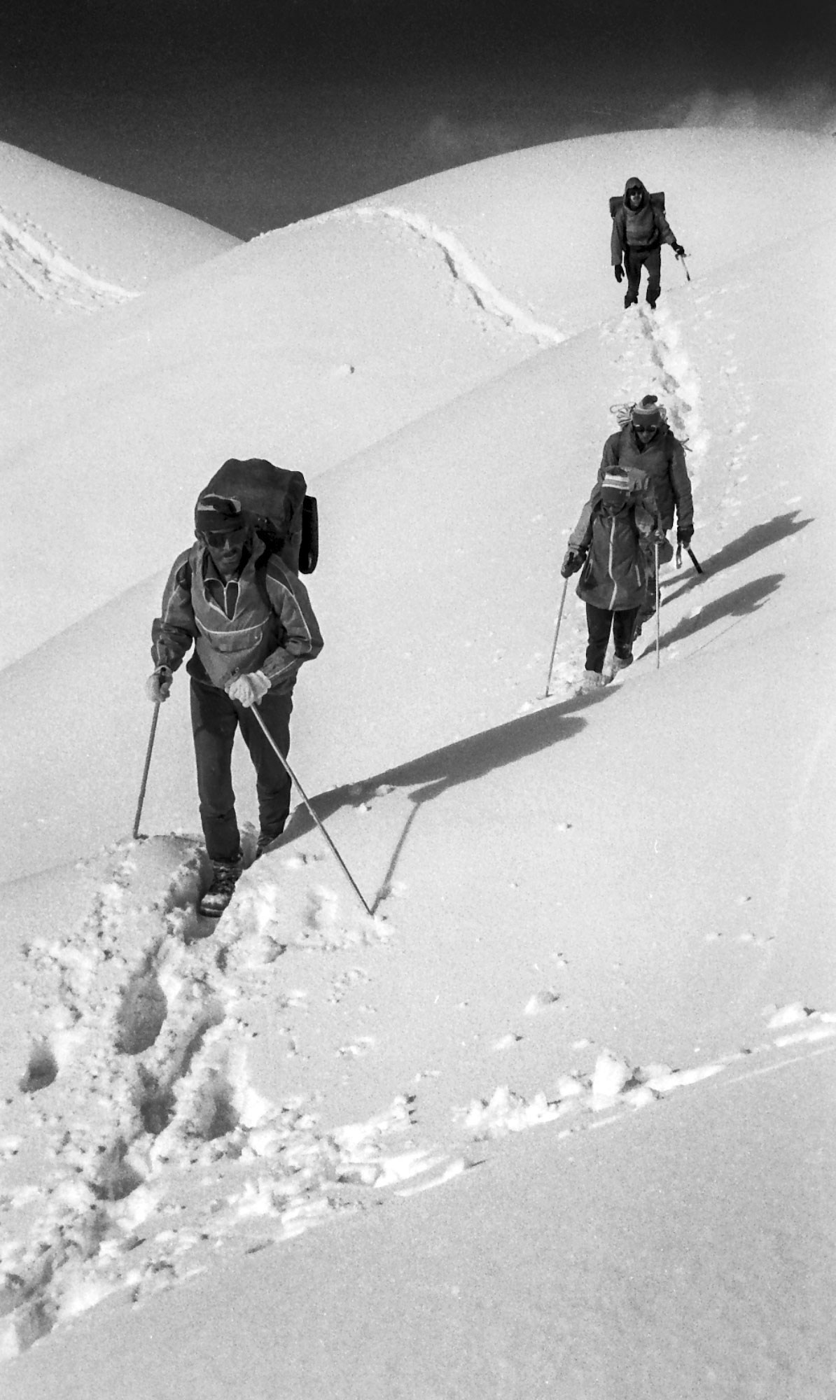Свадебный фотограф в Геленджике