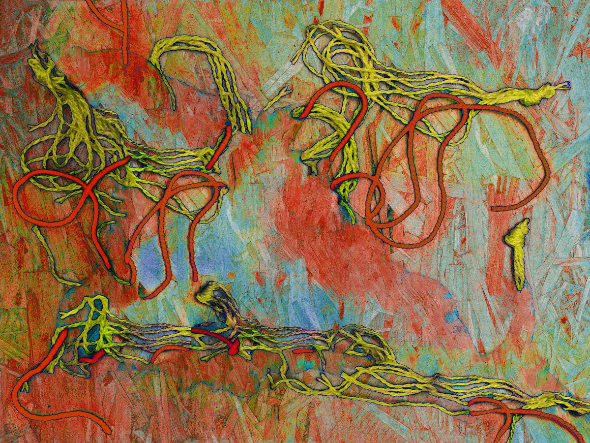 Проект «Сплетения». Арт-фотограф Виктория Забродина