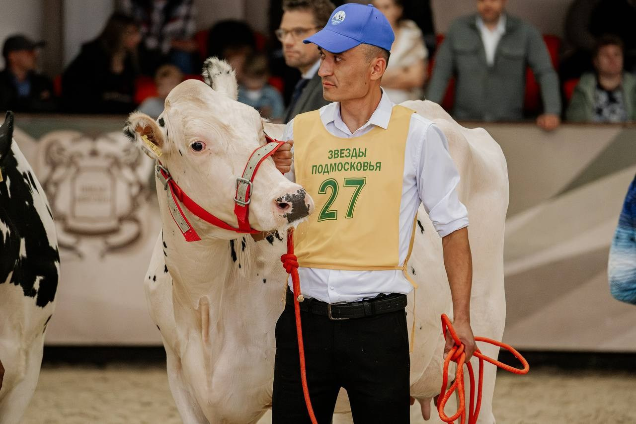 Звёзды Подмосковья — 2025. Куракина Дарья • Конный фотограф