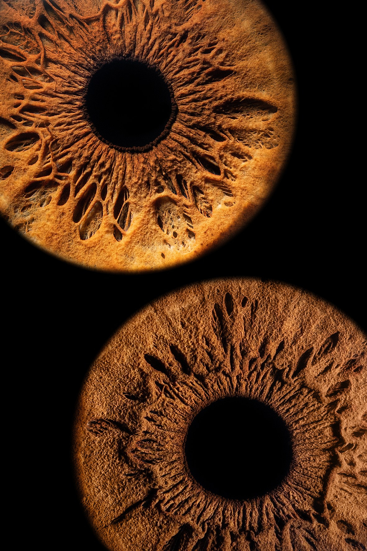 Примеры работ. Мой глаз