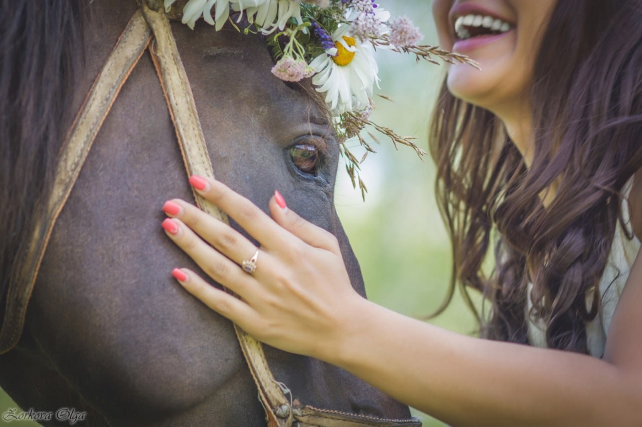 Фотосессии в Анкоре. Конные прогулки в клубе «Анкор» — Омск