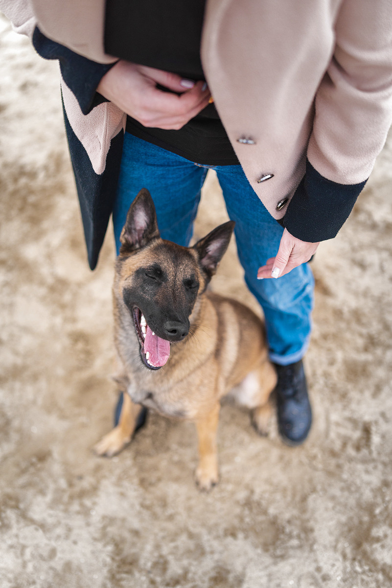 Анастасия и Зена. Фотограф-анималист Крутиков Евгений