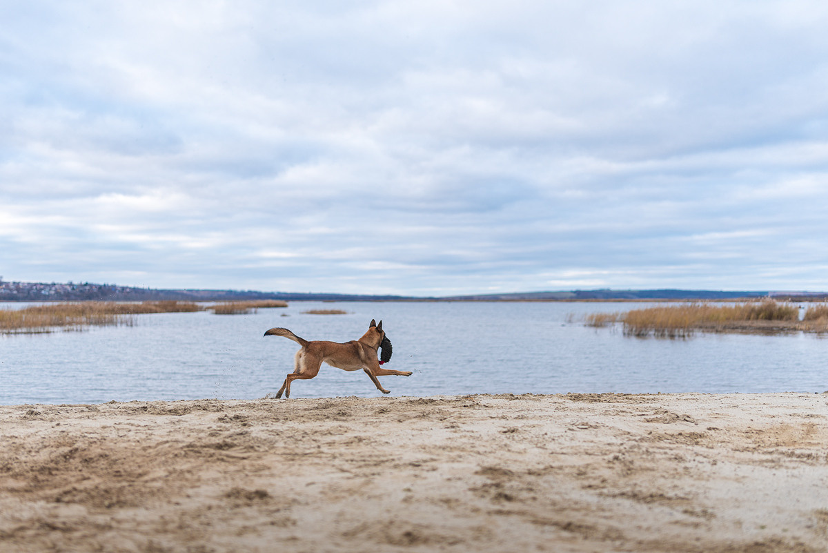 Анастасия и Зена. Фотограф-анималист Крутиков Евгений