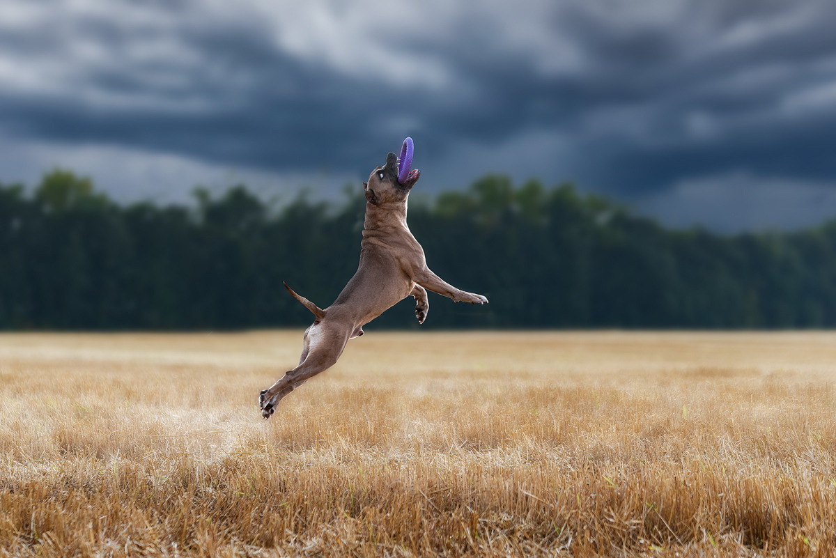 Фотограф-анималист Крутиков Евгений