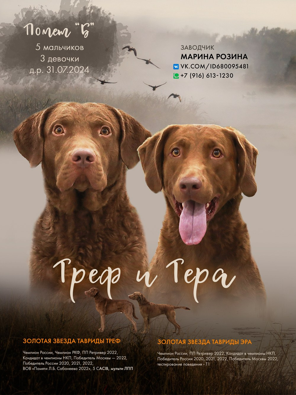 Дизайн. Фотограф-анималист в Калуге Мария Шерскова