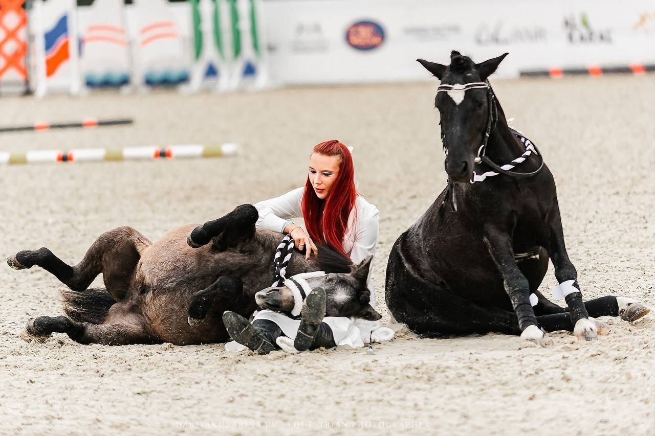 ИВАНОВО ПОЛЕ — 2024. Конный фотограф Куракина Дарья • Фотосессии с лошадьми