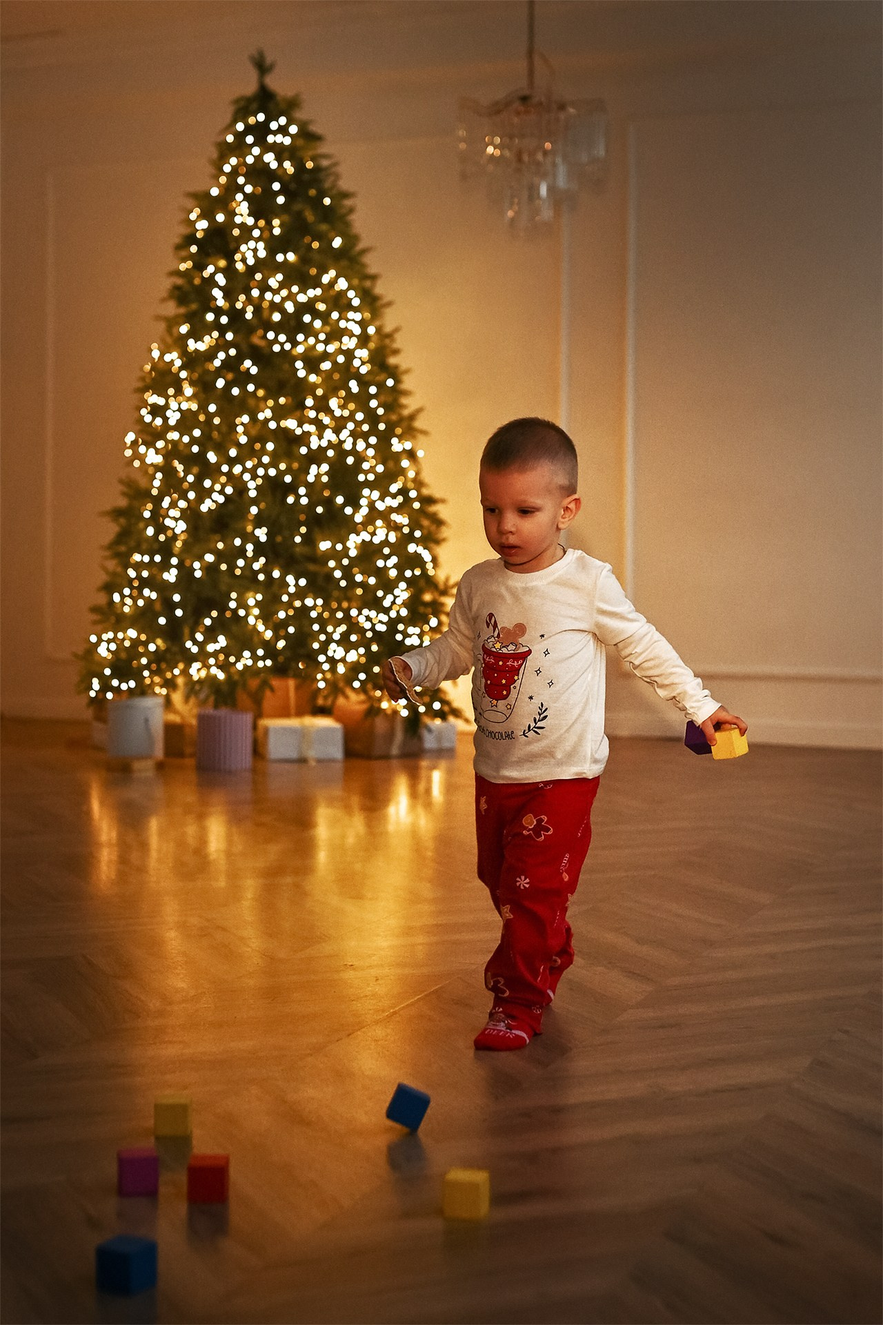 Семейная фотосессия к Новому году. Фотограф в Витебске Сергей Томашев