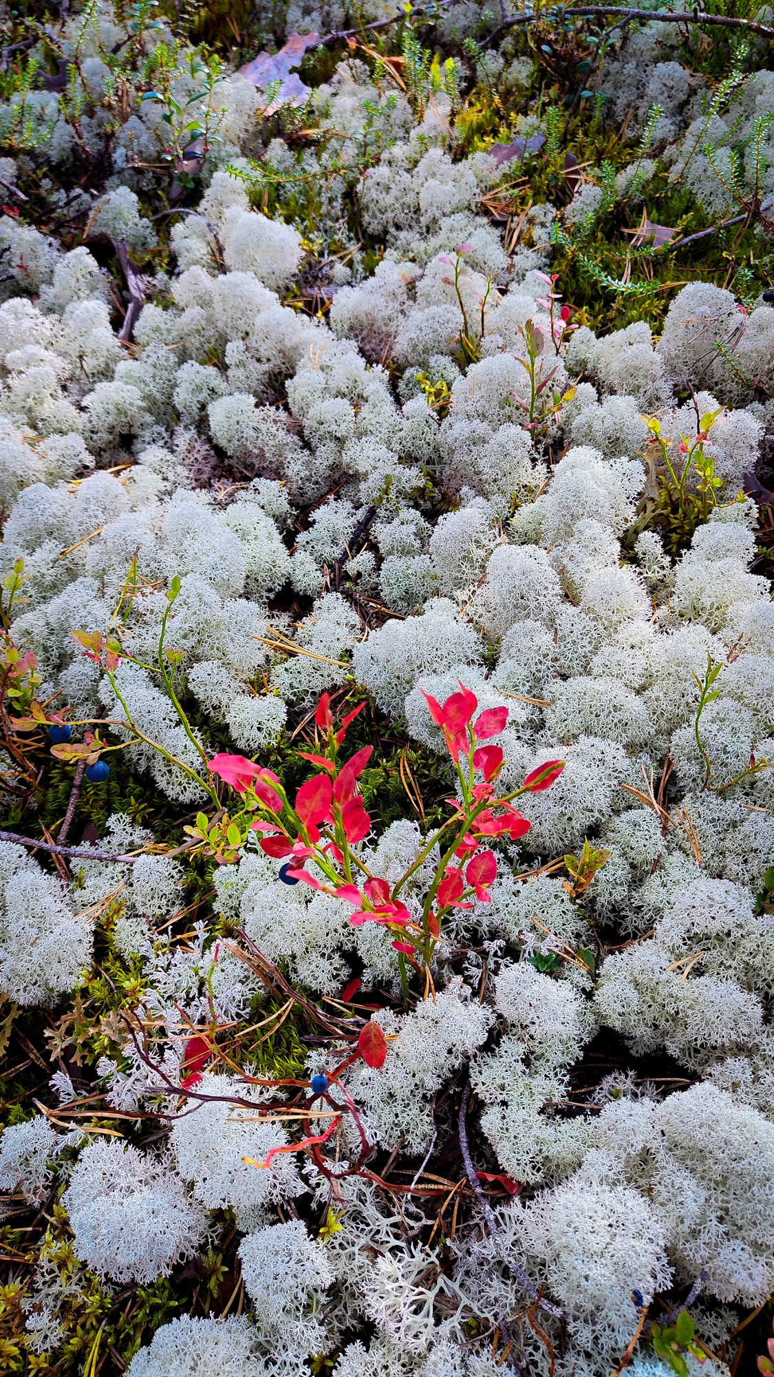 Репортаж с ретрита. Фотограф Ксения Соло