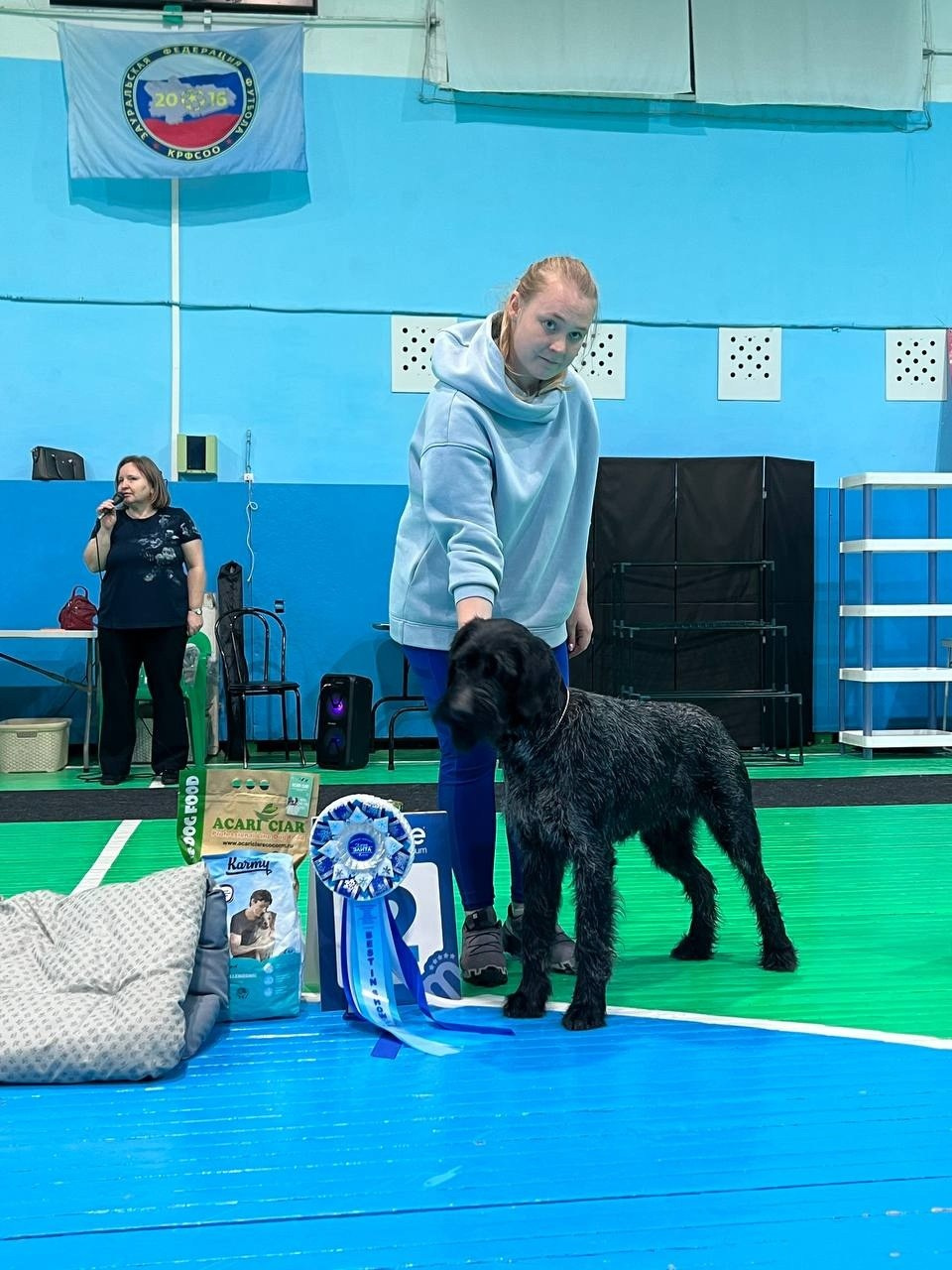 Выставки. Главная