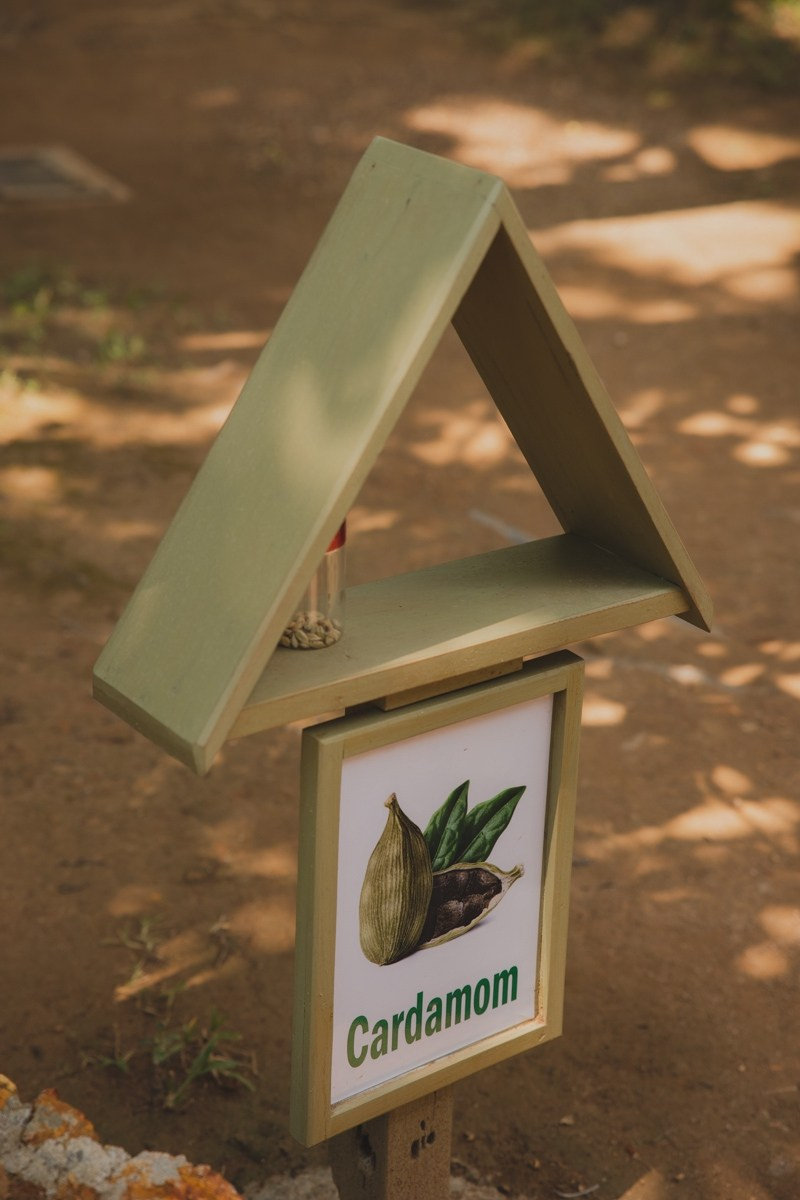 Шри-ланка. Ретрит «Bodу.Mind.Soul» Март 2024 Фото. Профессиональный фотограф Татьяна Евглевская