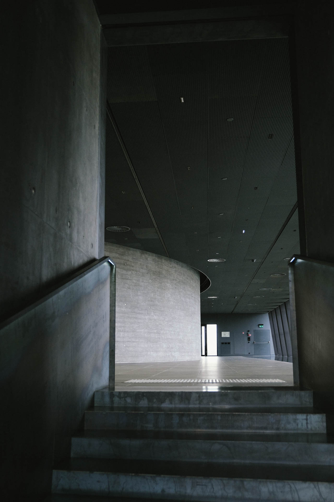 Конференция в Сколково. Портретный и репортажный фотограф в Москве Олеся Лисарк