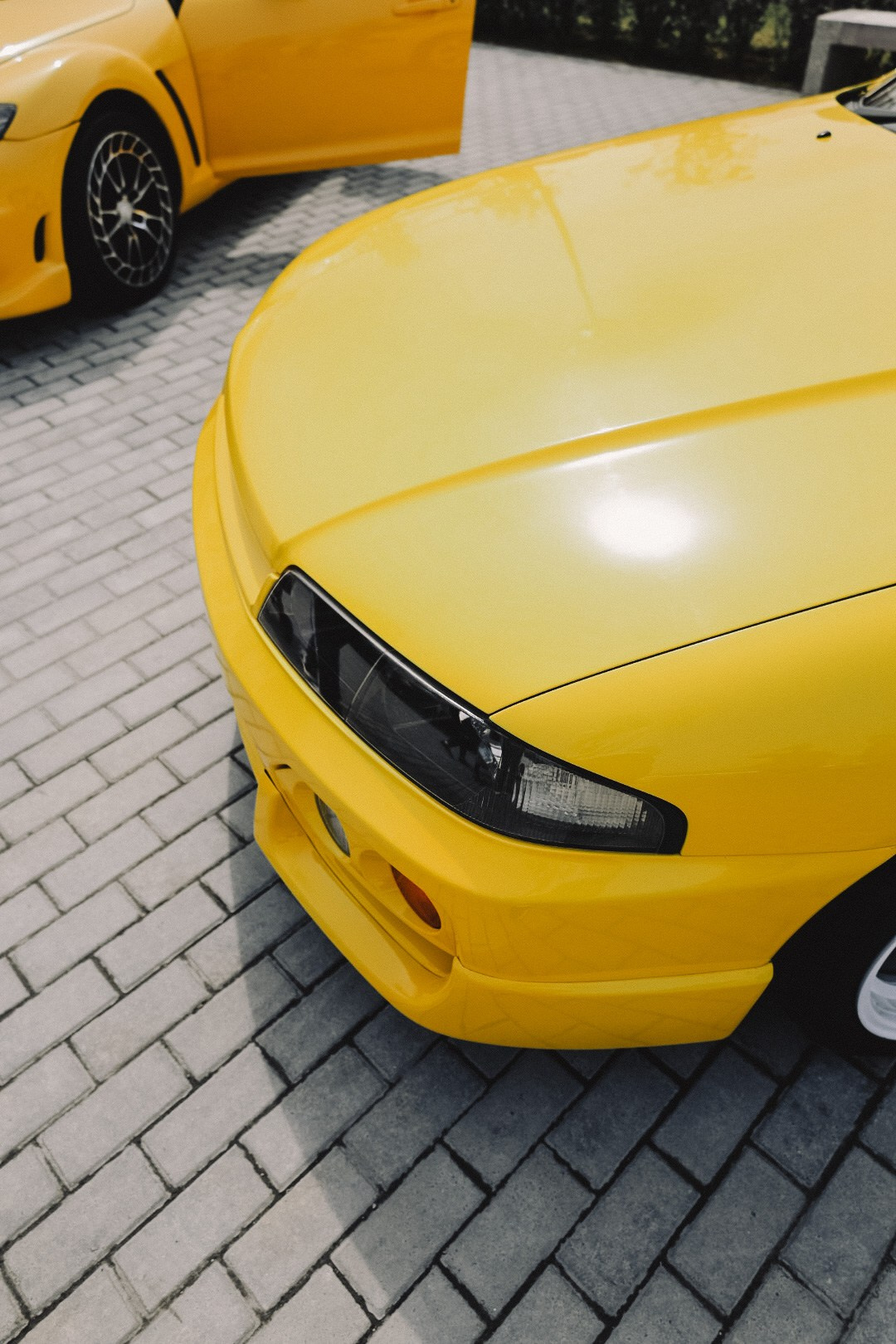 MIDDAY’2025. Семейный фотограф Полина Легачева