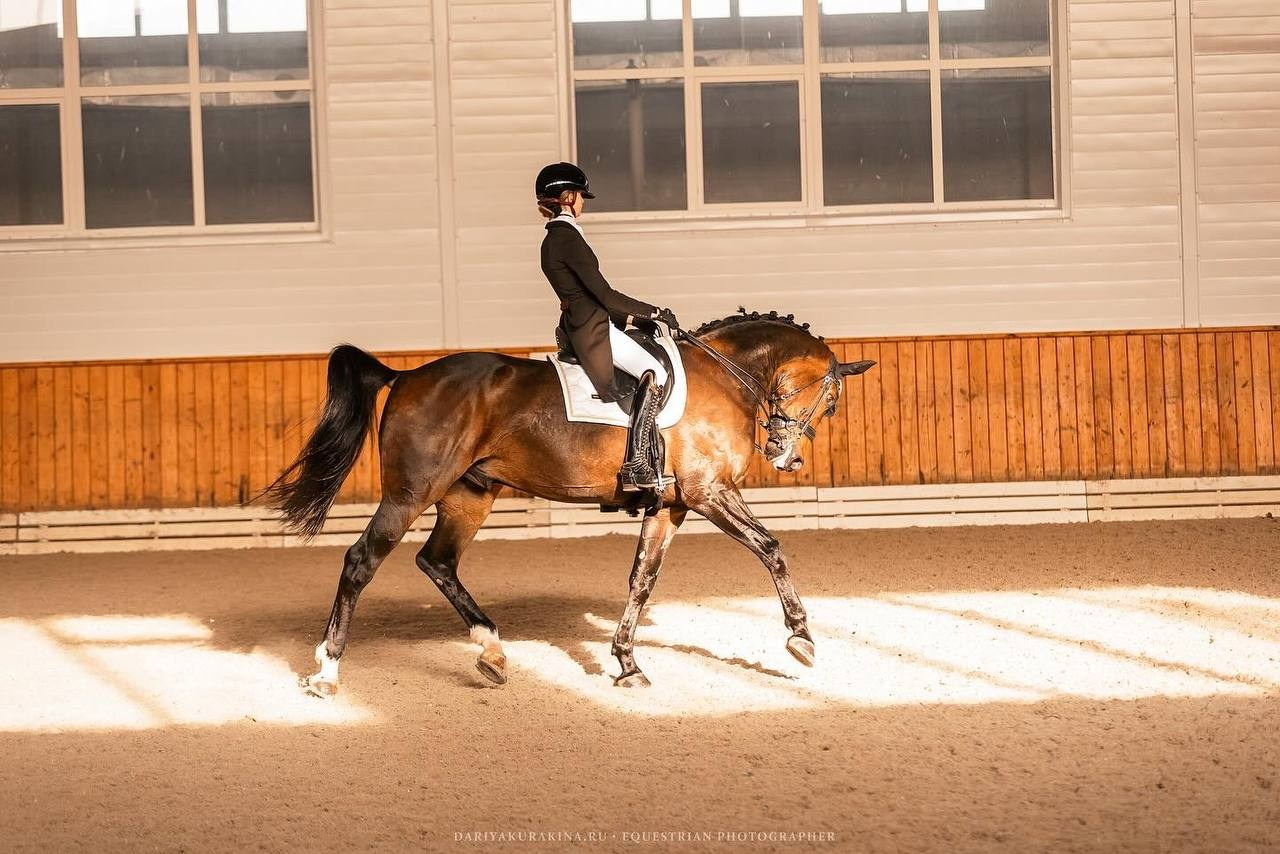 Открытые соревнования по выездке в КСК «Конкорд». Конный фотограф Куракина Дарья • Фотосессии с лошадьми