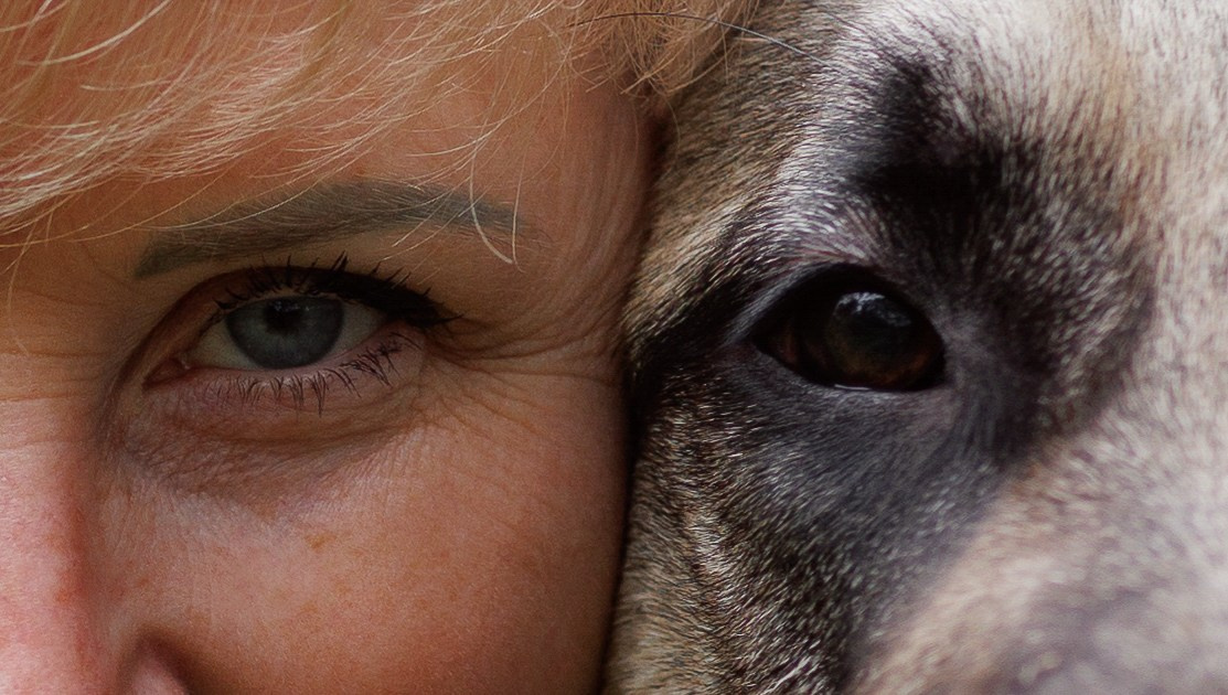 Оксана И Норд. Фотограф — Анималист Наталья Тямушева